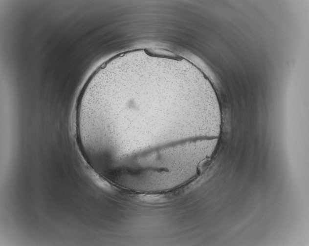 X0000112471140200909141113