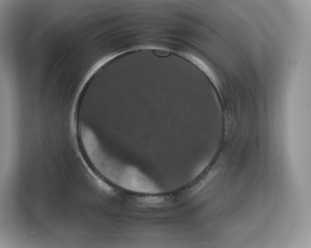 X0000112471141200909141113