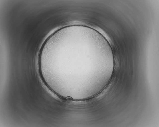 X0000112471142200909141113