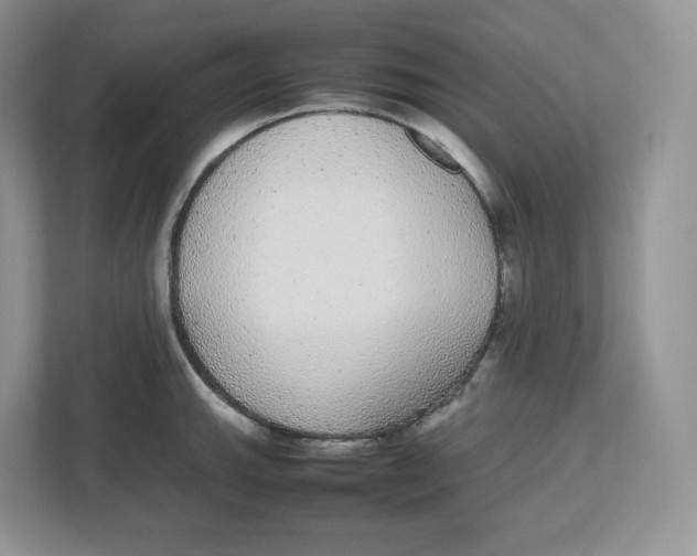 X0000112471143200909141113
