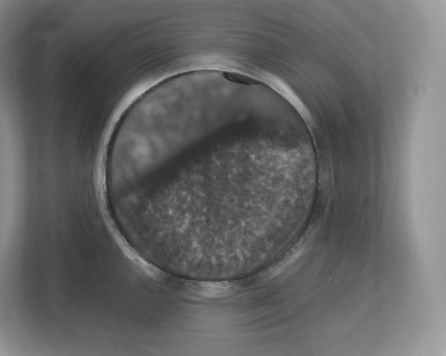 X0000112471144200909141113