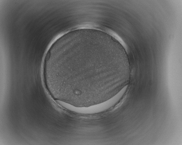X0000112471146200909141113