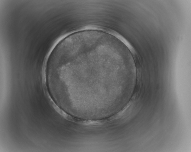 X0000112471148200909141113