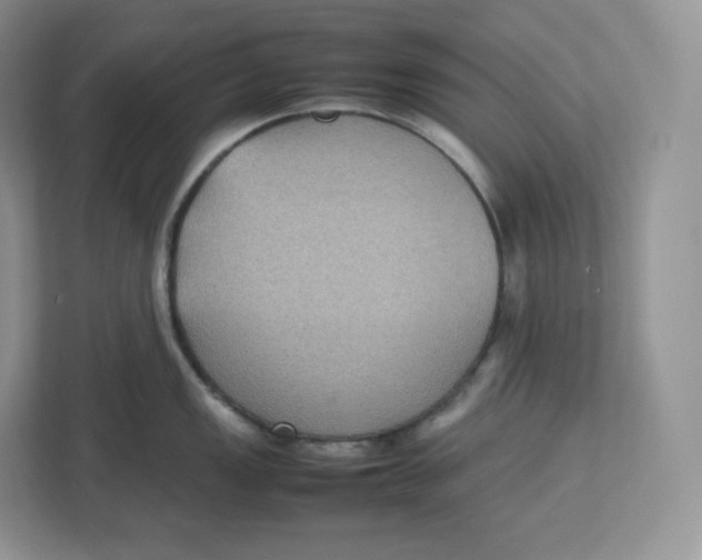 X0000112471149200909141113