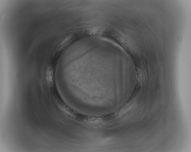 X0000112471154200909141113
