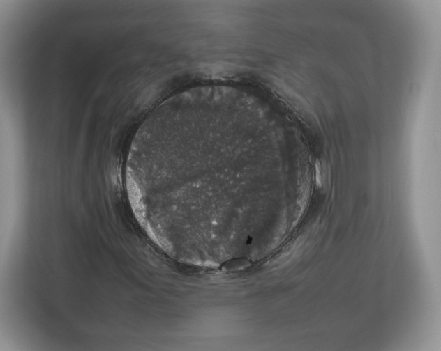 X0000112471155200909141112