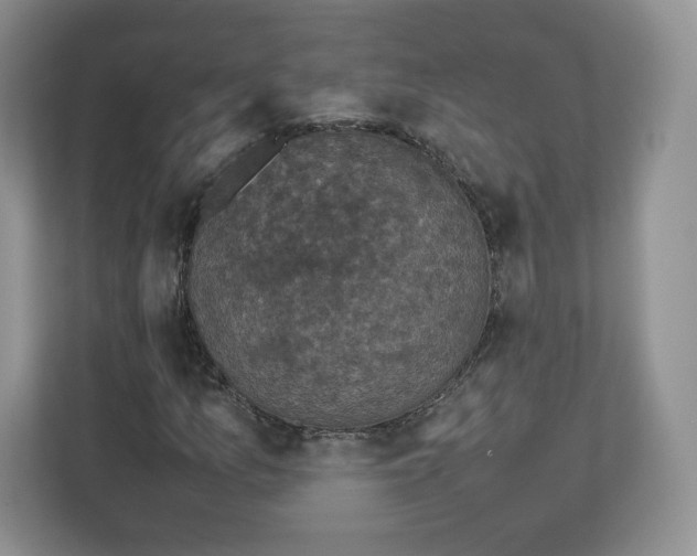 X0000112471157200909141112