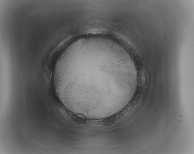 X0000112471158200909141112