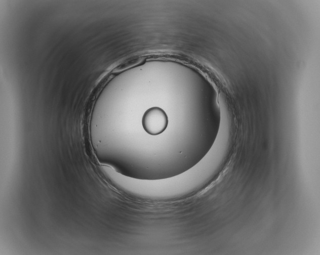 X0000112471162200909141112