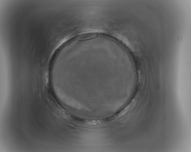 X0000112471165200909141112