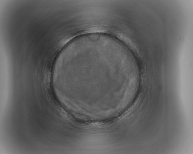 X0000112471169200909141112