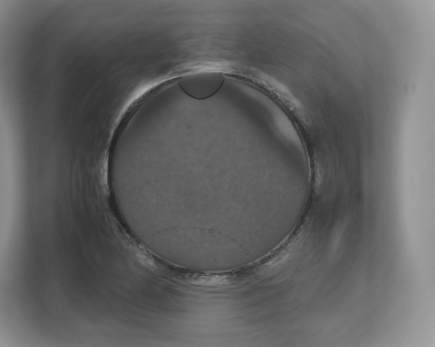 X0000112471174200909141112