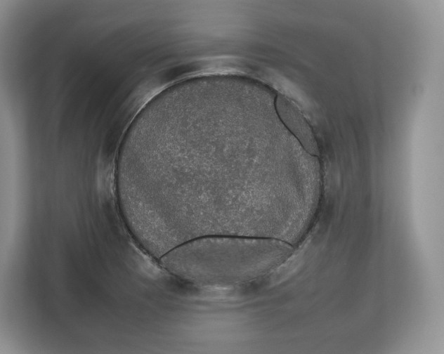 X0000112471177200909141112
