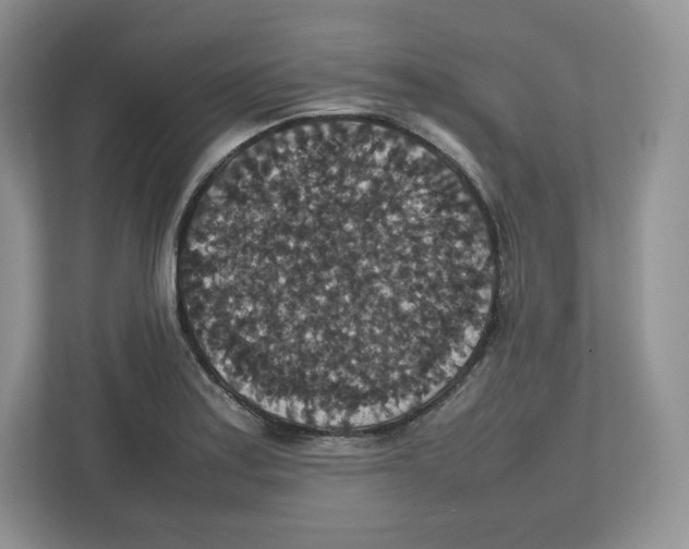 X0000112471179200909141112