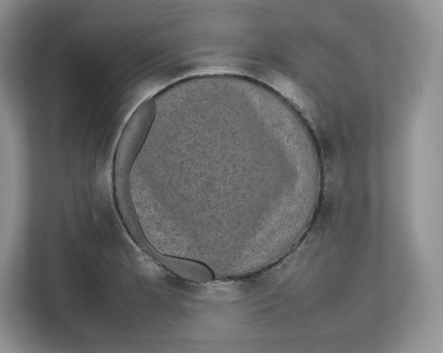 X0000112471181200909141112