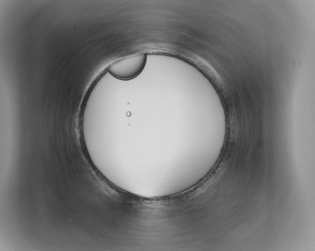 X0000112471182200909141112