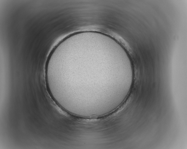 X0000112471184200909141112