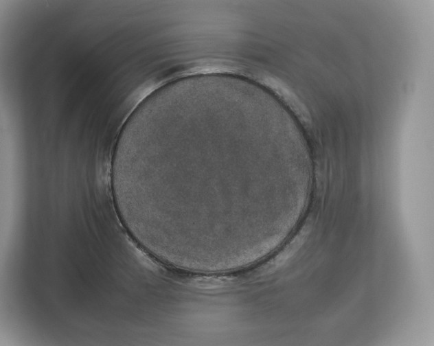 X0000112471185200909141112
