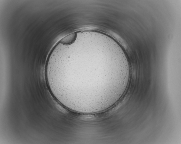 X0000112471186200909141112