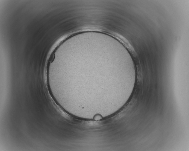 X0000112471188200909141112