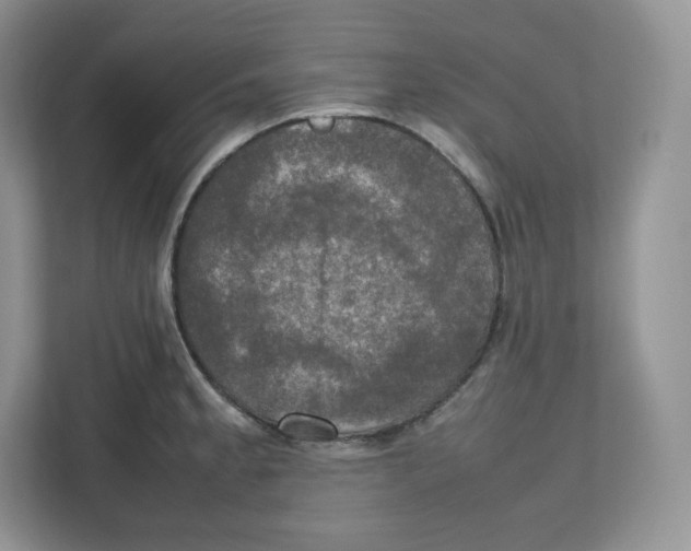 X0000112471189200909141112
