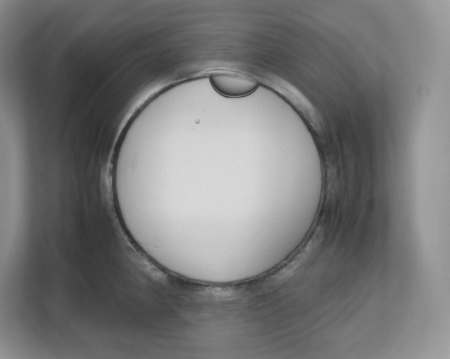 X0000112471190200909141112