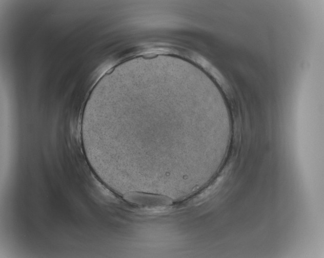 X0000112471193200909141112