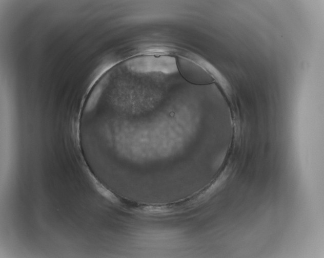 X0000112471194200909141112