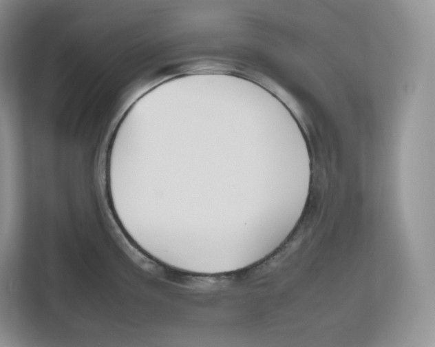 X0000112471195200909141112