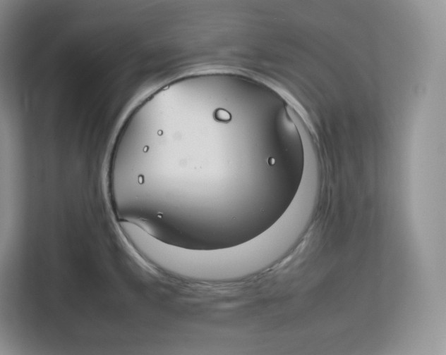 X0000112471197200909141112