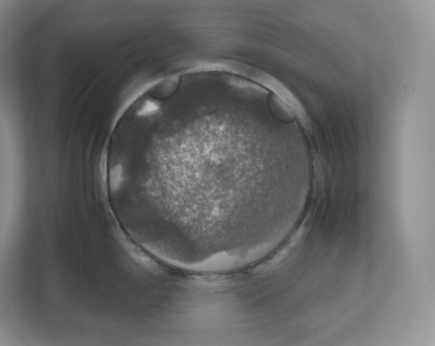 X0000112471198200909141112