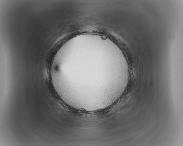 X0000112471206200909141111