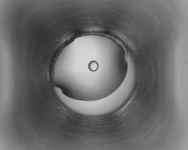 X0000112471209200909141111