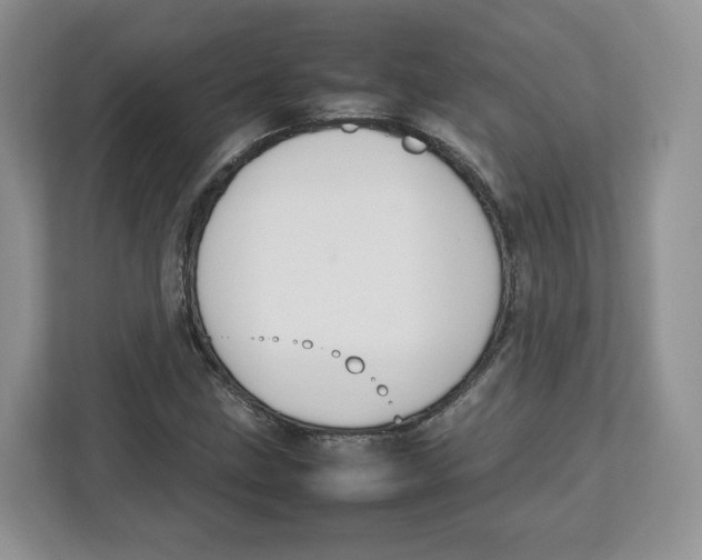 X0000112471211200909141111