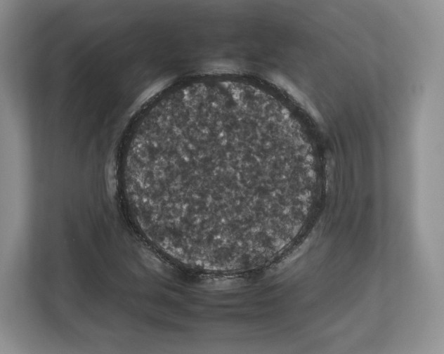 X0000112471213200909141111