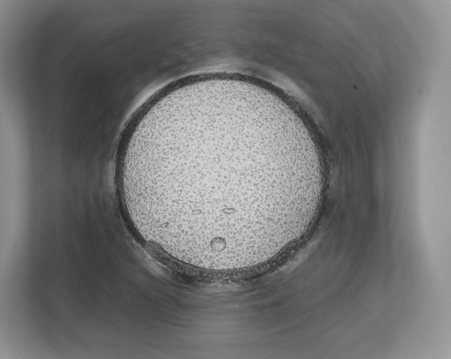 X0000112471216200909141111
