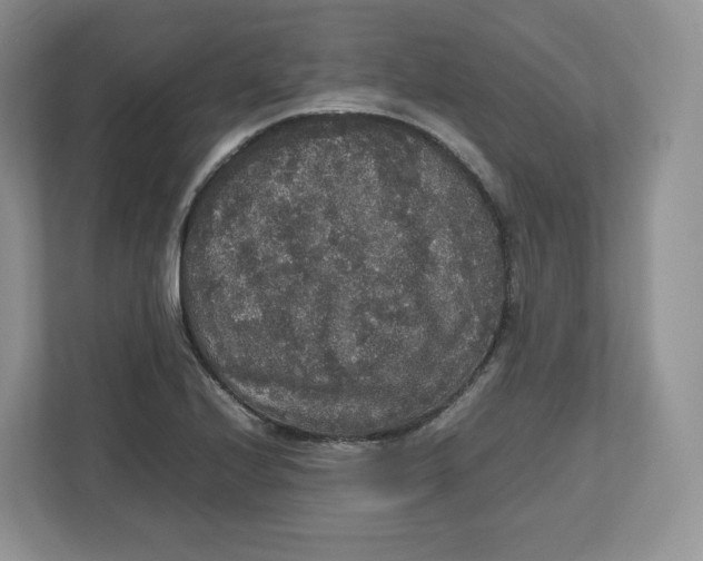 X0000112471224200909141112