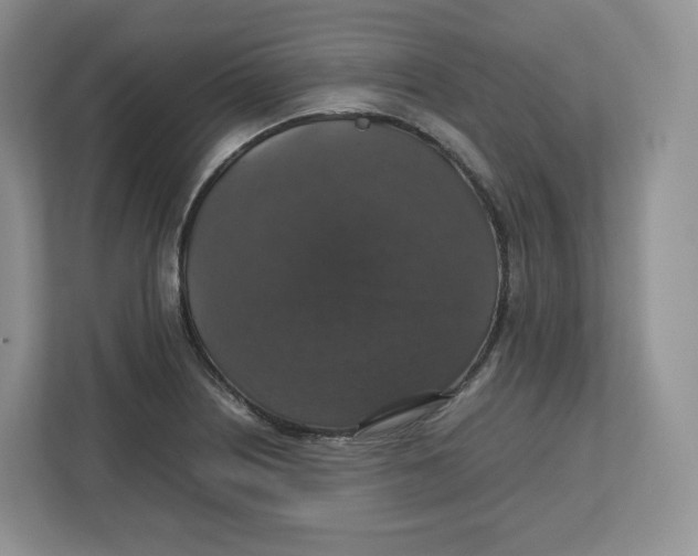 X0000112471226200909141112