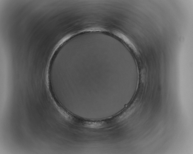 X0000112471229200909141112