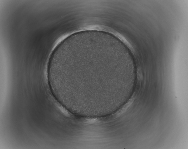 X0000112471230200909141112
