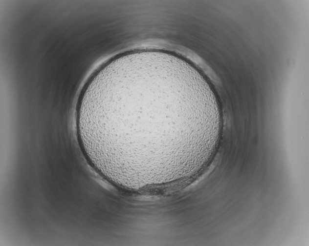 X0000112471232200909141112