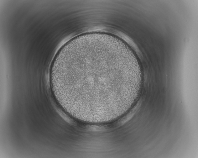 X0000112471234200909141112