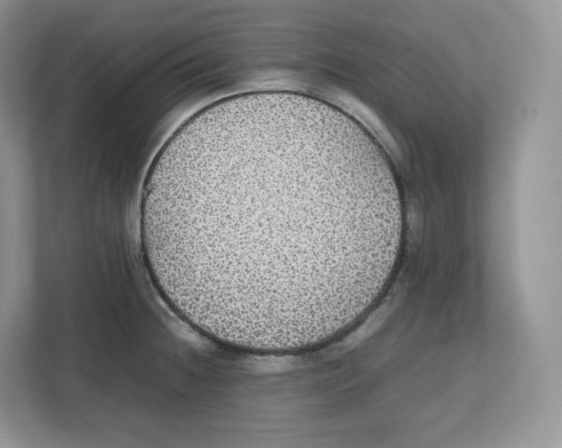 X0000112471236200909141112