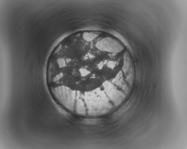 X0000112471237200909141112