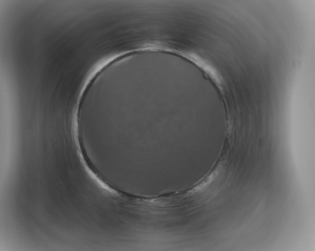 X0000112471239200909141112