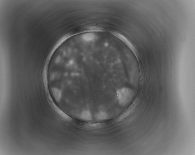 X0000112471243200909141112