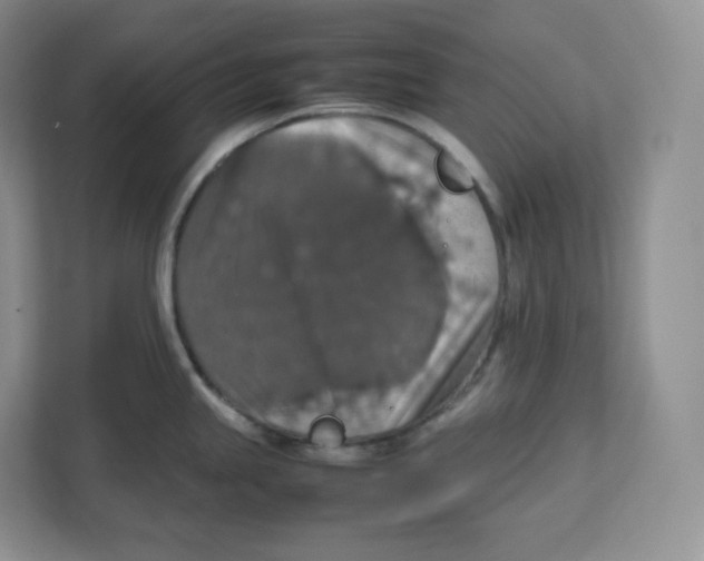 X0000112471245200909141112