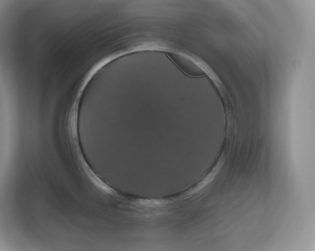 X0000112471246200909141112