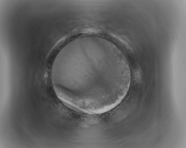 X0000112471254200909141111