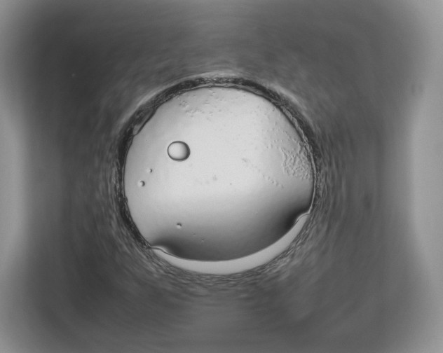 X0000112471255200909141111